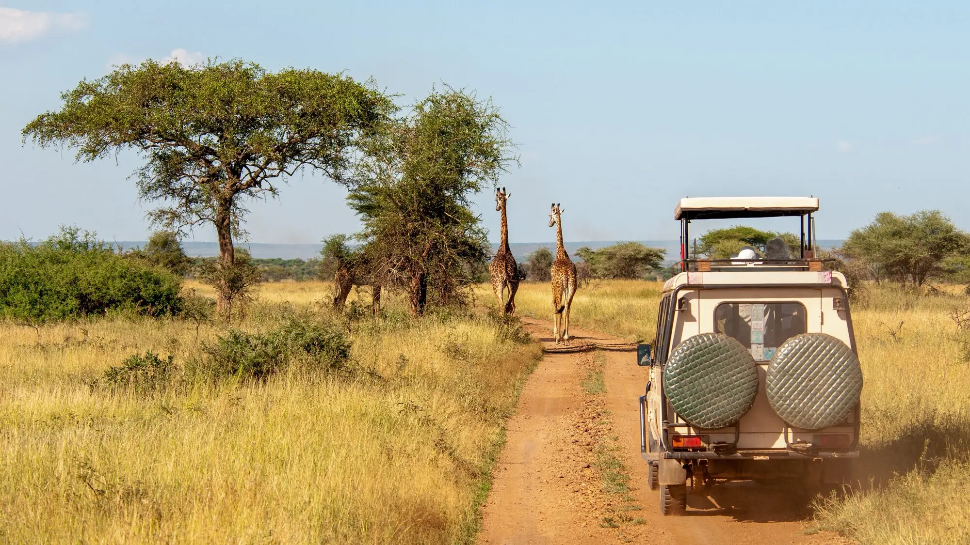 Iconic Africa — image 4