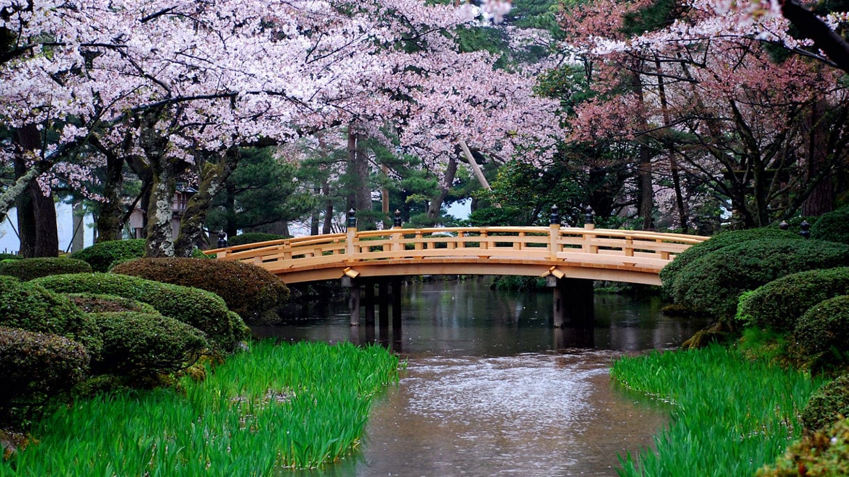 Grand Circle Japan with Fall Foliage — image 1