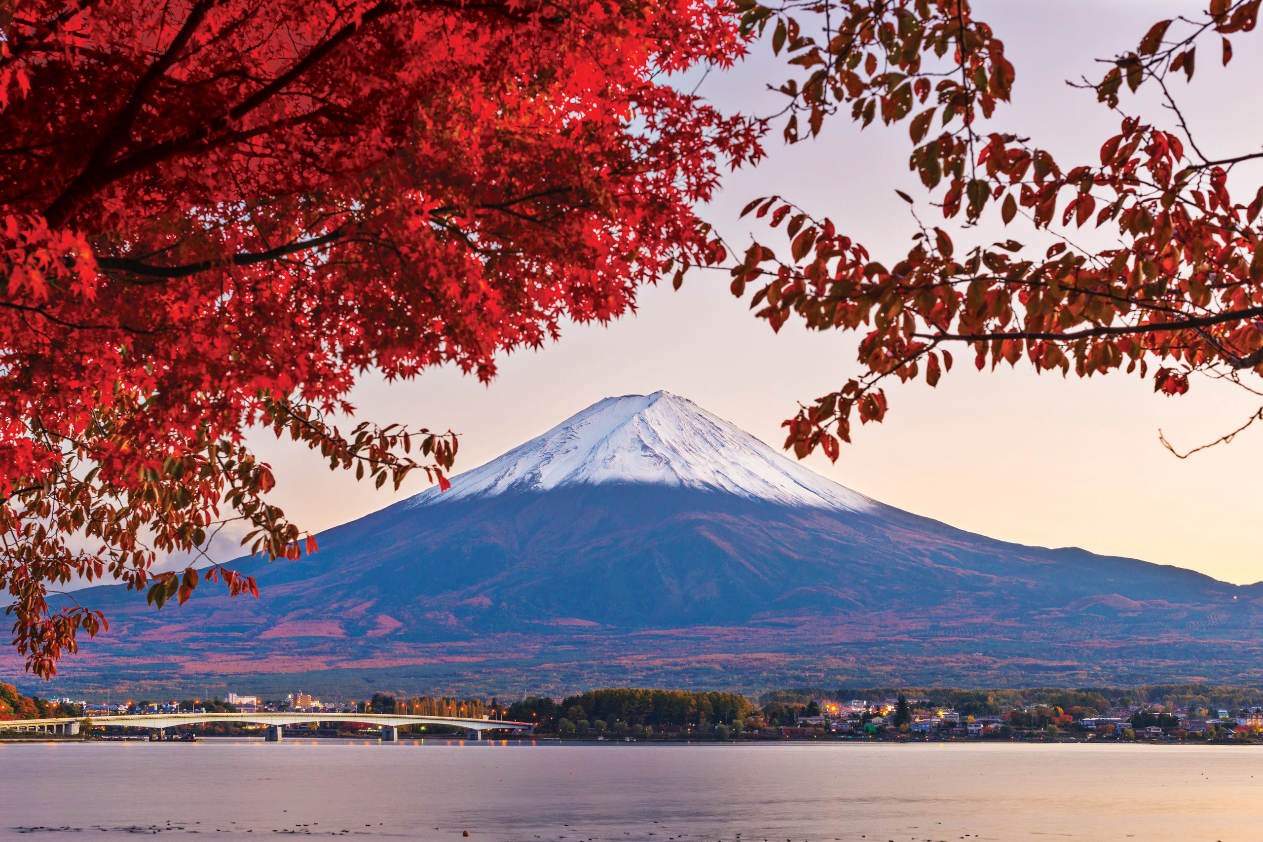 Grand Circle Japan with Fall Foliage — image 4