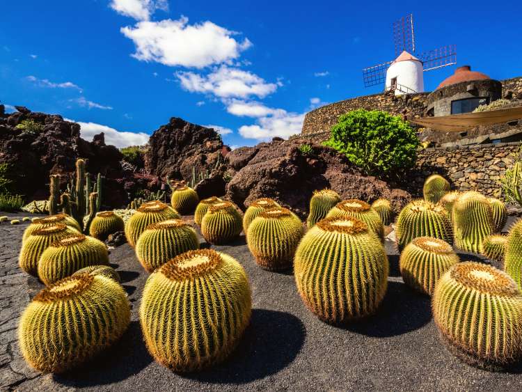 Canary Islands Escape