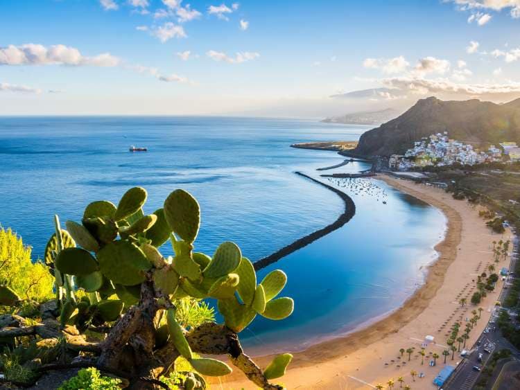 Canary Islands Escape — image 1