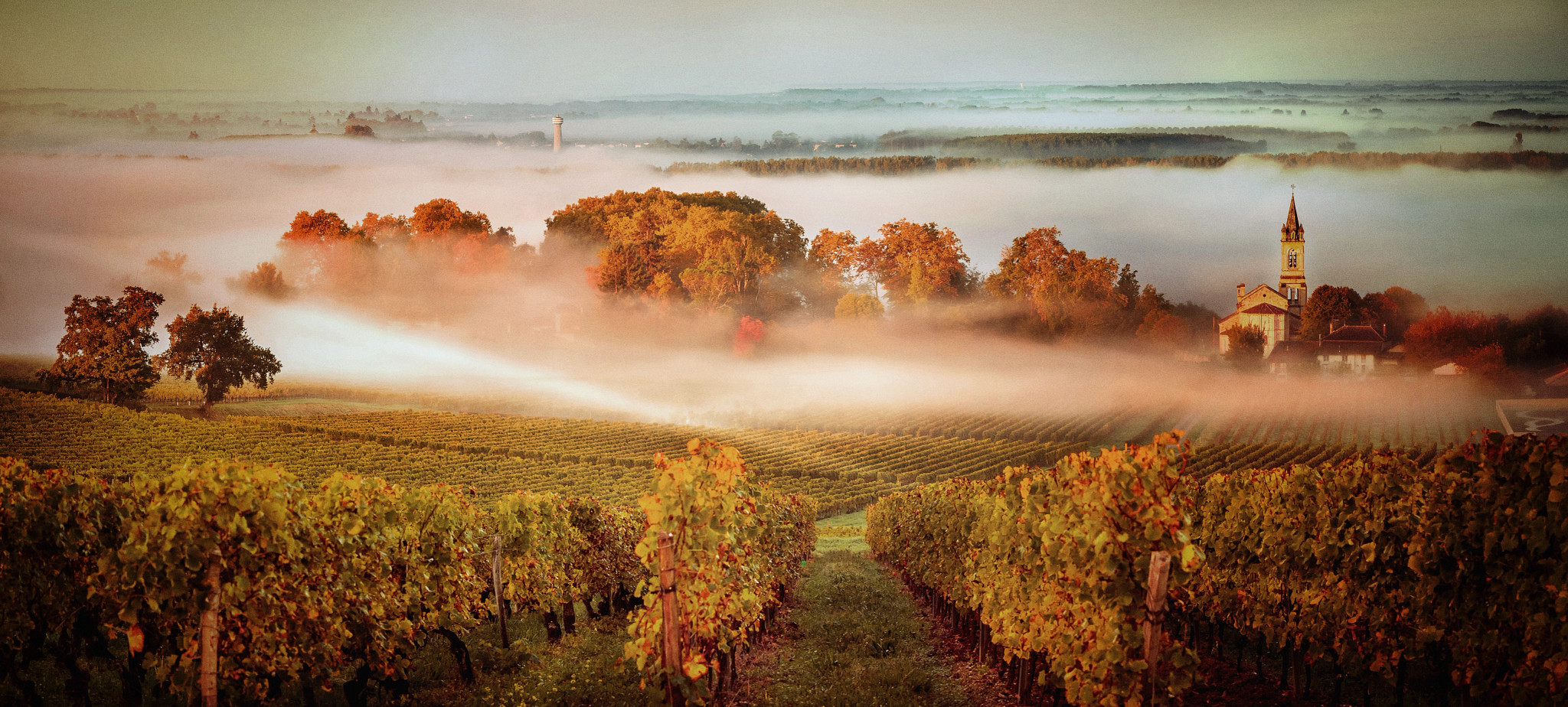 Taste of Bordeaux — image 2